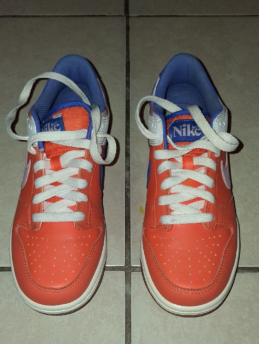 Nike MULTI Dunks Size 5